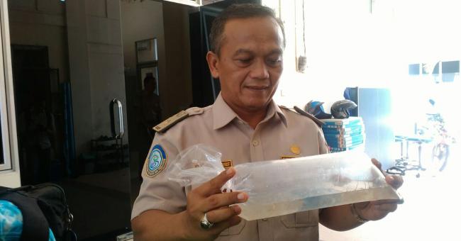 Karantina Ikan Batam Lepasliarkan 23 Ribu Benih Lobster